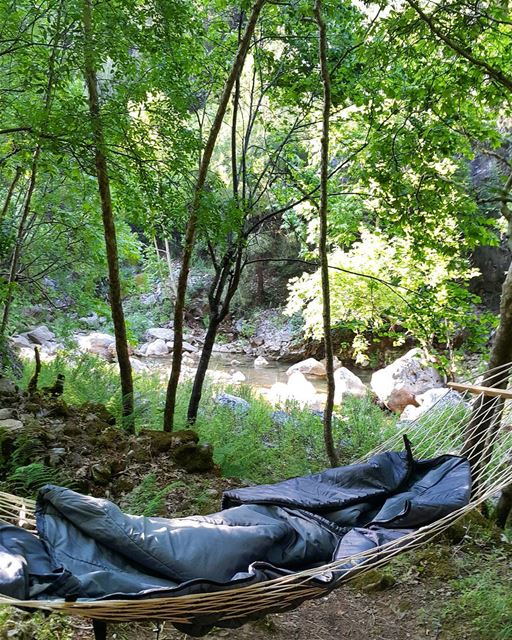 Good morning LebanonSABAHO sunrise  river  hammock  morning  lebanon ...