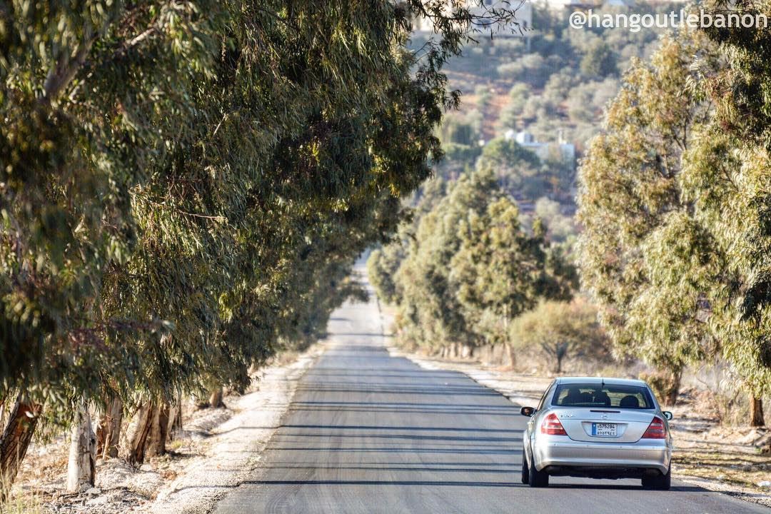 Good morning. Let’s go for a ride.- hangoutlebanon  lebanonpocketguide ... (Al Khiyam, Al Janub, Lebanon)
