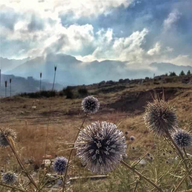 Good morning  LiveLoveLaklouk  LiveLoveLebanon  wearelebanon ... (اللقلوق)