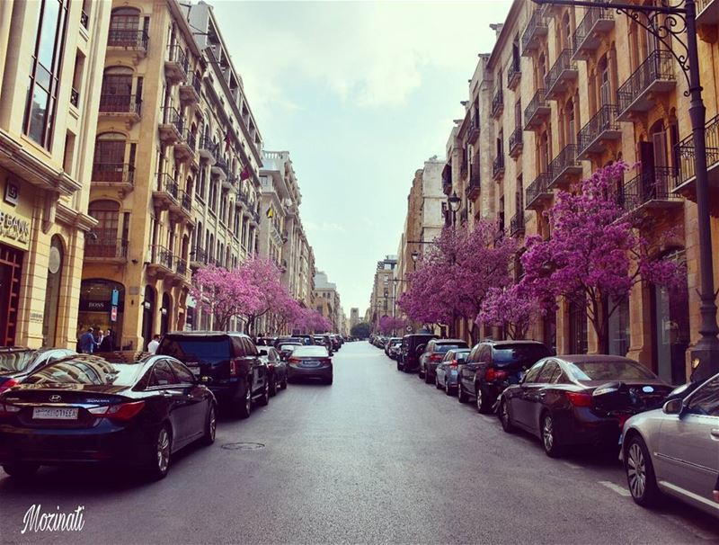 Good Morning ☺........................................  livelovelebanon... (Beirut, Lebanon)