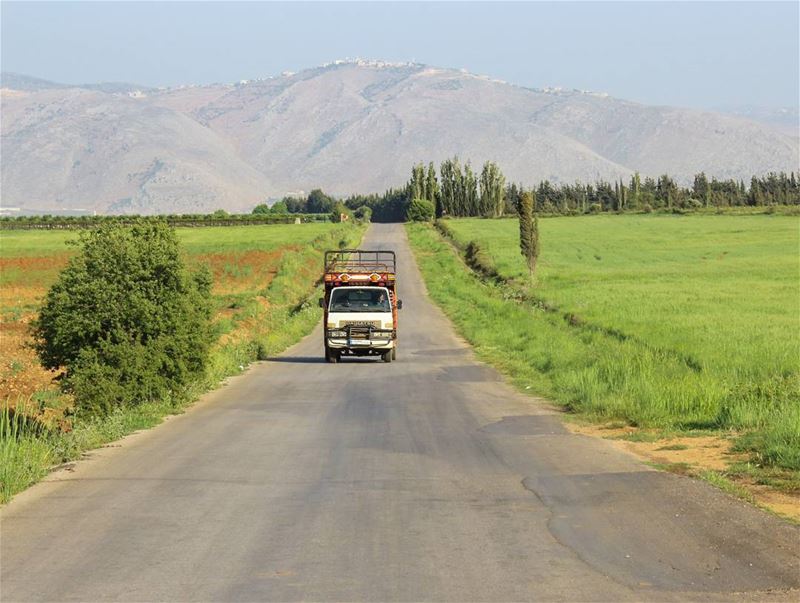 Good morning 🚙 (Mansoura)