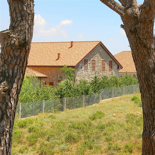 Good morning 🏠🌳 (Marjayoûn, Al Janub, Lebanon)