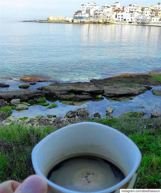 Good morning 🌊☕🌊........... morning   صباح_الخير ... (NCMS-National Center for Marine Sciences  / CNRS-Lebanon)