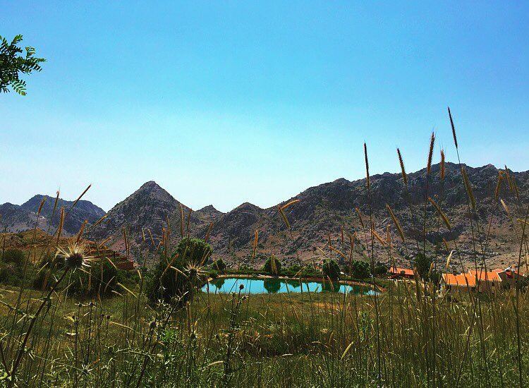 Good morning 🌾 .......... mothernature  nature  discover ... (El Laklouk, Mont-Liban, Lebanon)