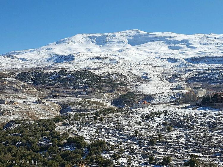 Good morning ❄ (Mount Sannine)