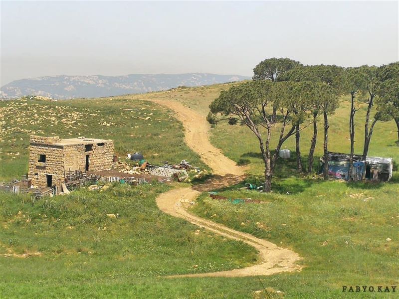 Good morning my dear friends fromLocation :bhamdoun /LebanonCamera :Canon (Bhamdoûn, Mont-Liban, Lebanon)