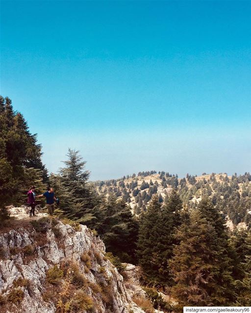 Good morning 🍃  nature  hiking  discover ... (Akkar)