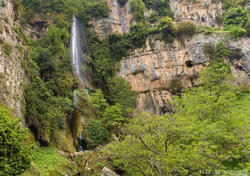 Good morning... nikon  photography  morning  naturephotography  day ... (`Akkar El - `Ateeqah, Liban-Nord, Lebanon)