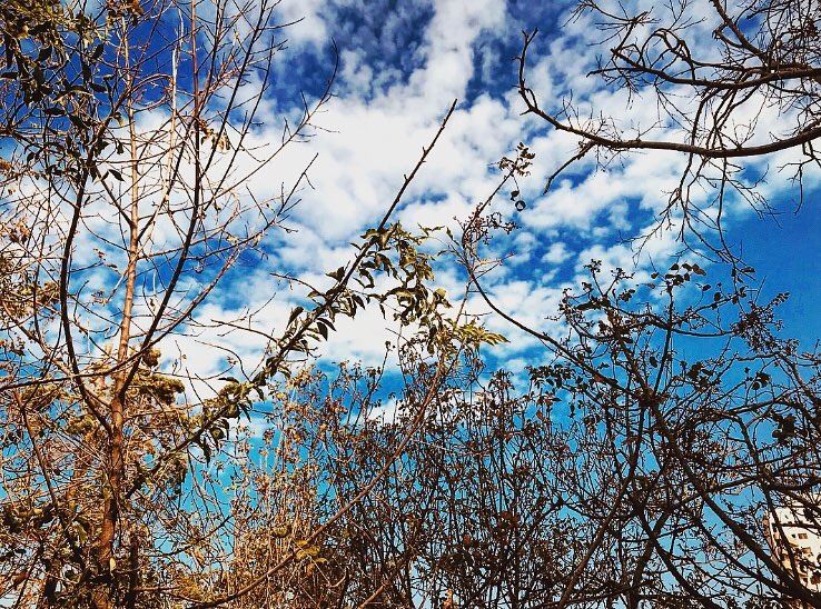 Good morning people ☀️☀️ enjoy your Sunday as it lasts 😂  photography ... (American University of Beirut (AUB))