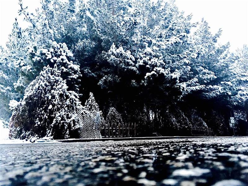 Good morning!Photo credits to Ali Elheck hermel  snow  winter ... (El Hermel, Béqaa, Lebanon)