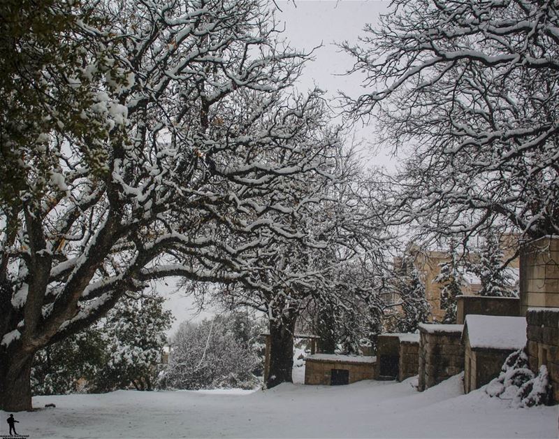 Good morning... snow  jbaa chouf lebanon lebanonbyalocal ...