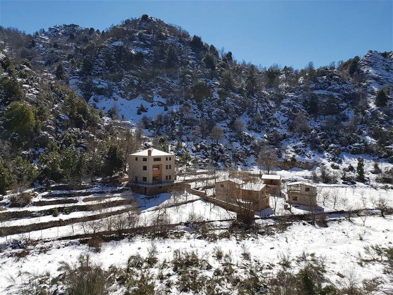 Good morning 🤗 snow  landscape  nature  natureza  naturephotography ... (Jabal Ehmej)