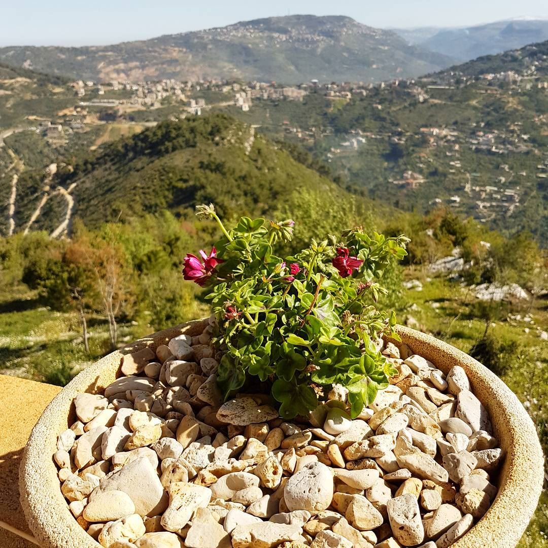 Good morning spring ! Good morning sunshine ! tourlebanon  tourleb ... (Bkechtîne, Mont-Liban, Lebanon)