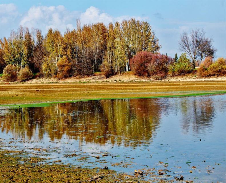 Good morning 🍁🌳🍂 (Taanayel- Bekaa)