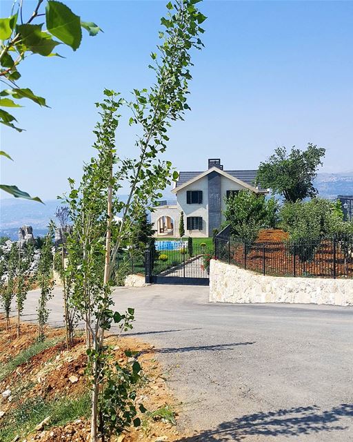 Good morning 💚🏡💙 (Zaarour)