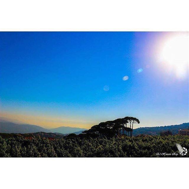 •Good morning!•صباح الخير!•Saba7o!•Bonjour!•Bom dia!... (Baabdâte, Mont-Liban, Lebanon)