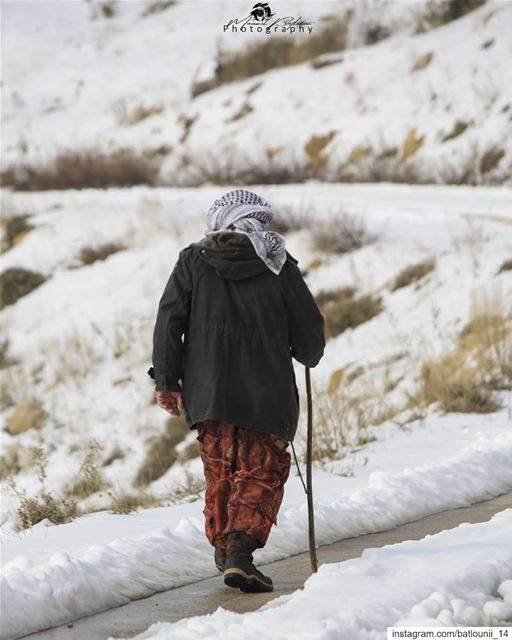 Good morning ❄️───────────────── chouf  shoufbiospherereserve   lebanon ...