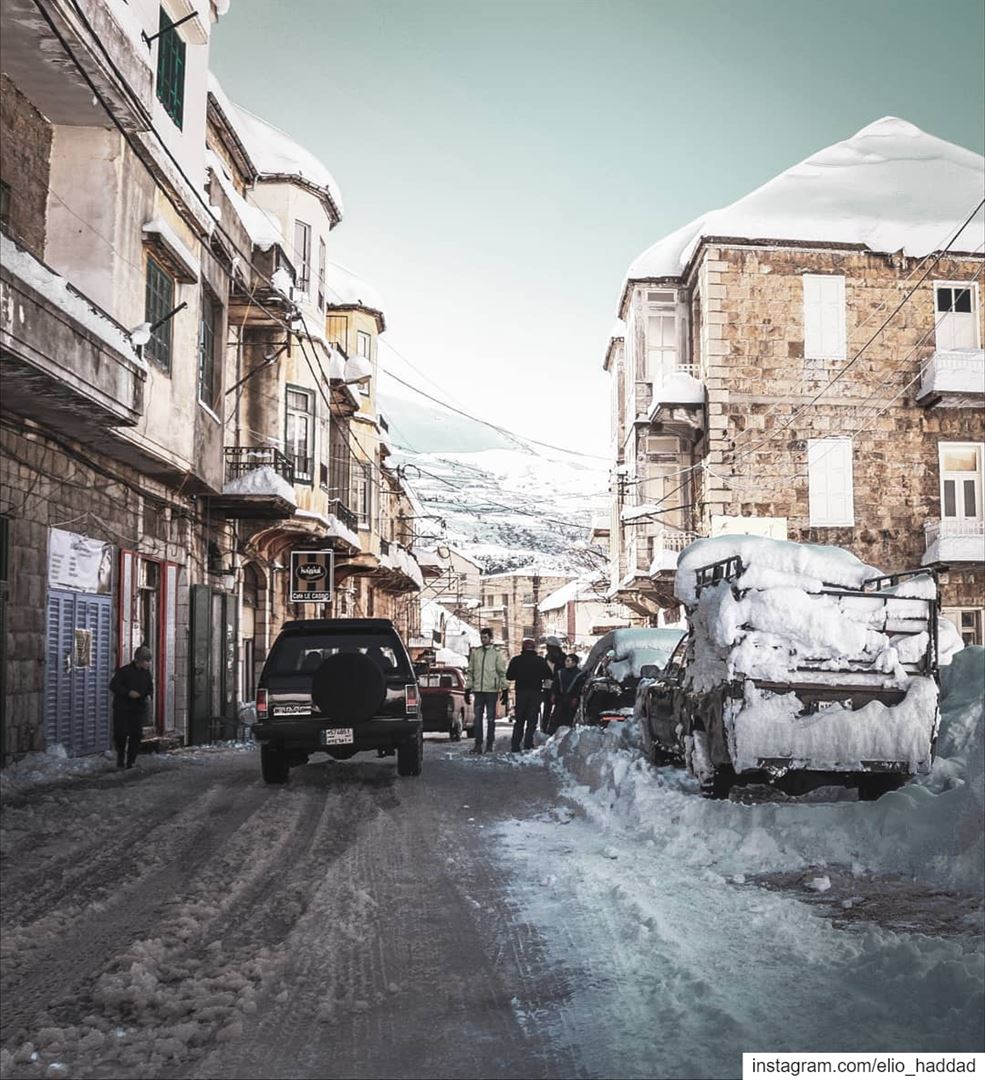 Good Morning ❄️  lebanon 🇱🇧  snow  snowing  white  nature  tree  road ... (Hasroun)