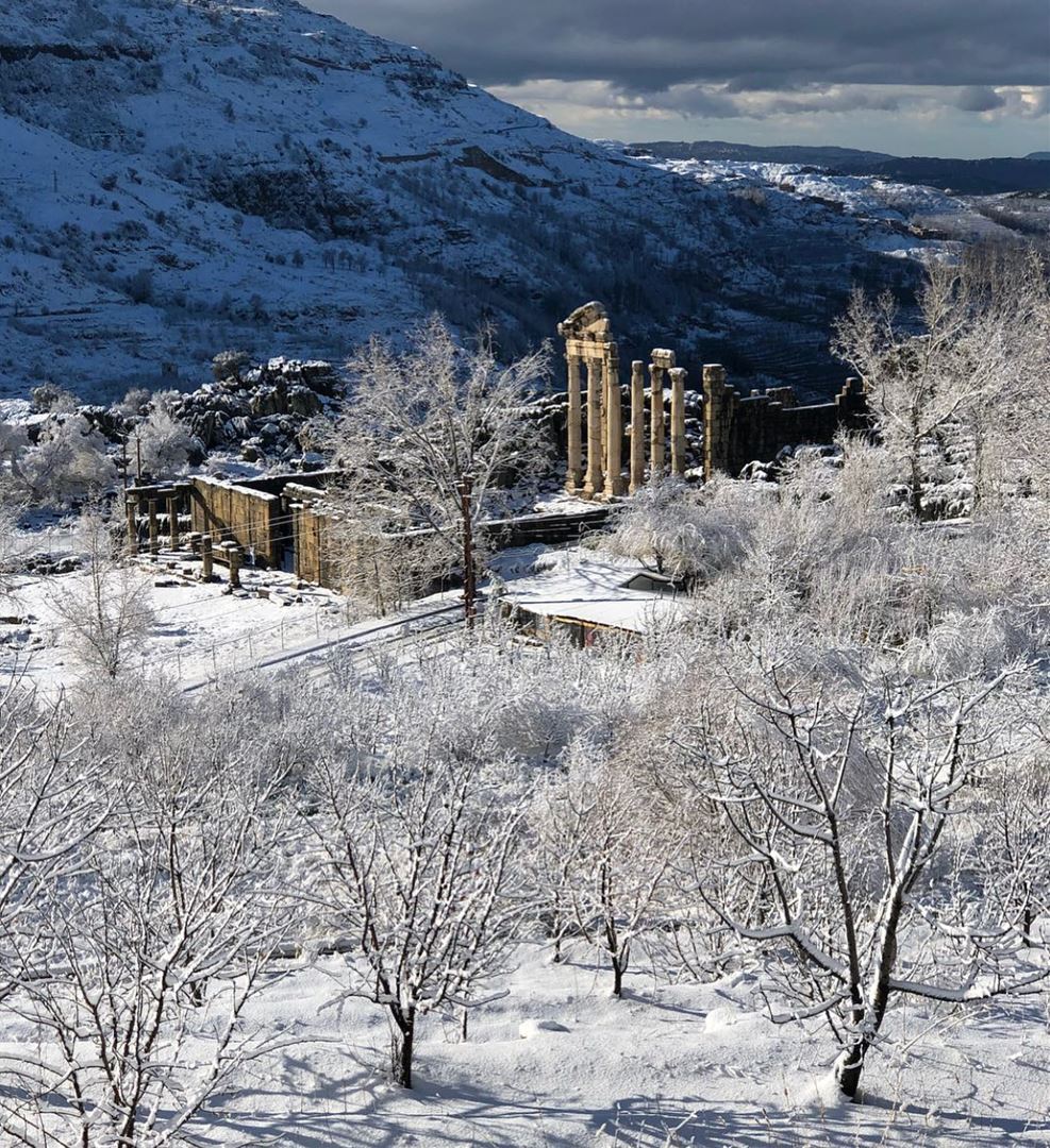 Good morning ❄️  lebanon  winter  snowymountains  faraya  faqra ...