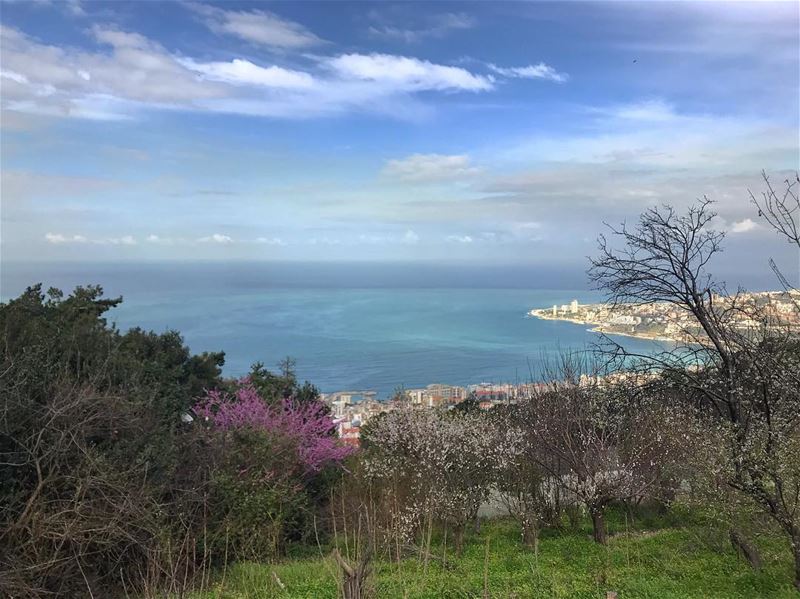 Good morning ‼️‼️ try this: wake up early on a beautiful day, go for a... (جونية - Jounieh)