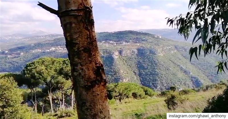 Good Morning🙋🏻‍♂️Enjoy your weekend💚________________________... (Beit Meri, Mont-Liban, Lebanon)