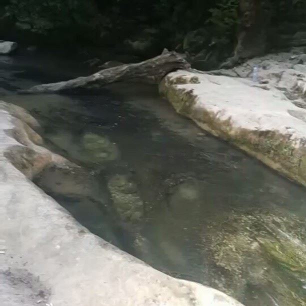 Good morningWho's up for a Jump? chouf  waterfall  jump  naturelovers ...