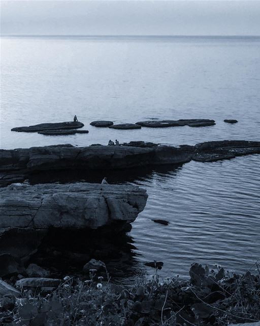 ✨Good night ✨ (Lebanon)