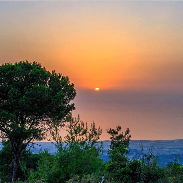 Good Night🌅