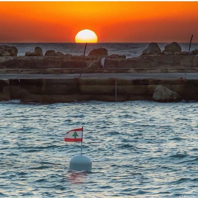 Good Night🌅