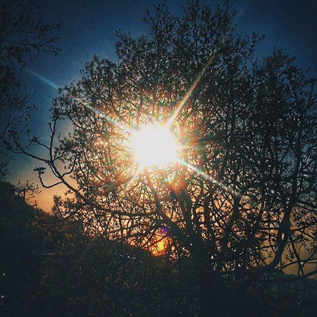 Good Night 🌌✨💫