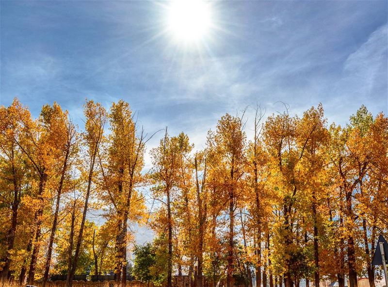 Good sunny Fall morning From Bcharre North Lebanon! !... (Bcharre El Arez بشري الأرز)