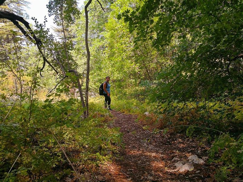 Good things are coming down the road. Just don't stop walking.- Robert... (Cedar Reserve Tannourine)