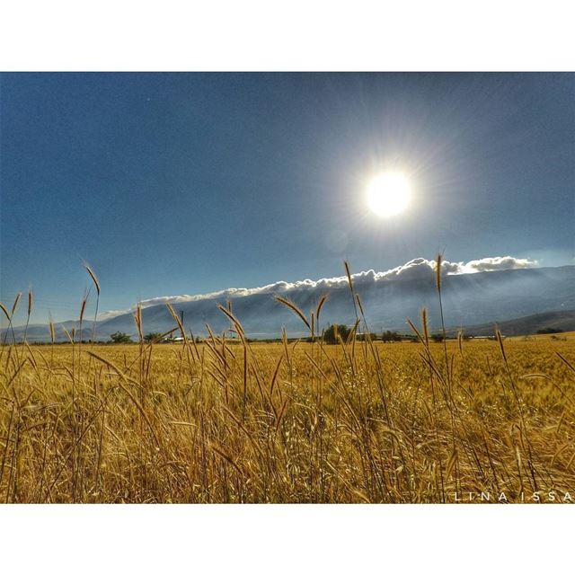 Good things come to those who believe, better things come to those who... (Baaloûl, Béqaa, Lebanon)