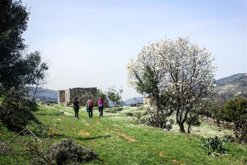 Good times & crazy friends make the best  memories 👭👫🎒  HappyTuesday... (Lebanon)