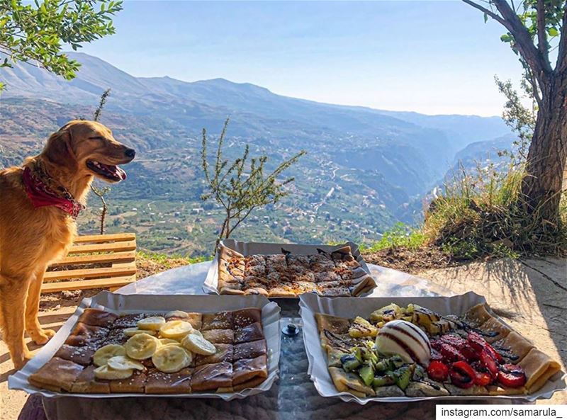 Good vibes only 😌📸 @mon_eclat ... samarula  morning  yummiest ... (The Cedars of Lebanon)