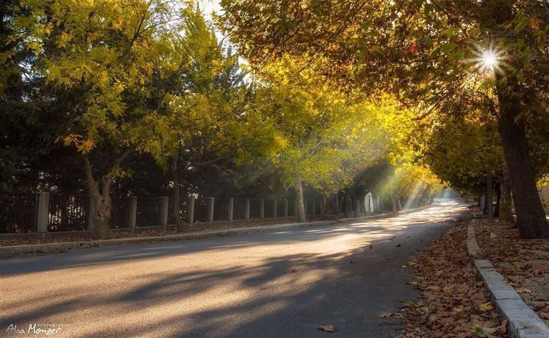  goodmorning  10452_lebanon  10452  🇱🇧  sunrise  sun  ray  rays ... (Sawfar, Mont-Liban, Lebanon)