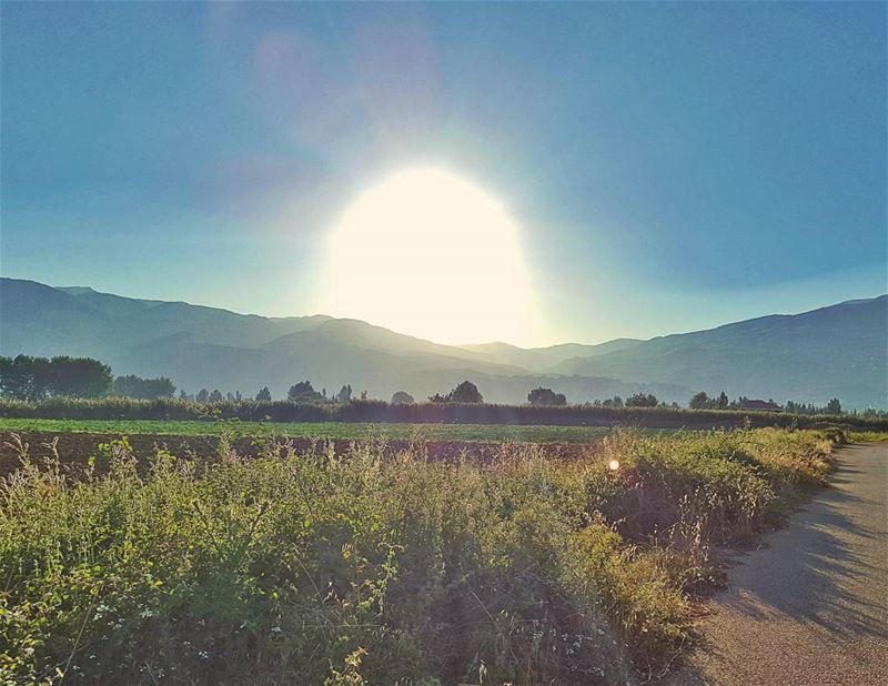  GoodMorning ... (Beqaa Valley)
