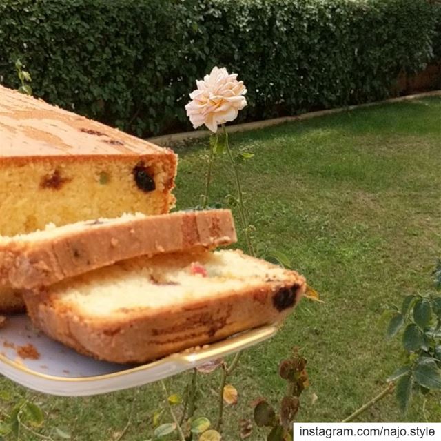  goodmorning   cake  homemade  cakewithraisins  sweet  lebanesesweets ...