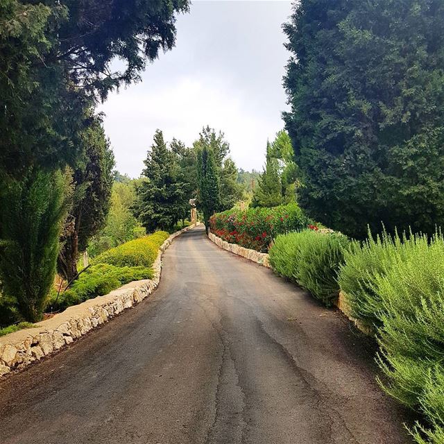 Goodmorning🇱🇧🇱🇧 explorelebanon  mountainsoflebanon  naturelover ... (Baisour, Mont-Liban, Lebanon)