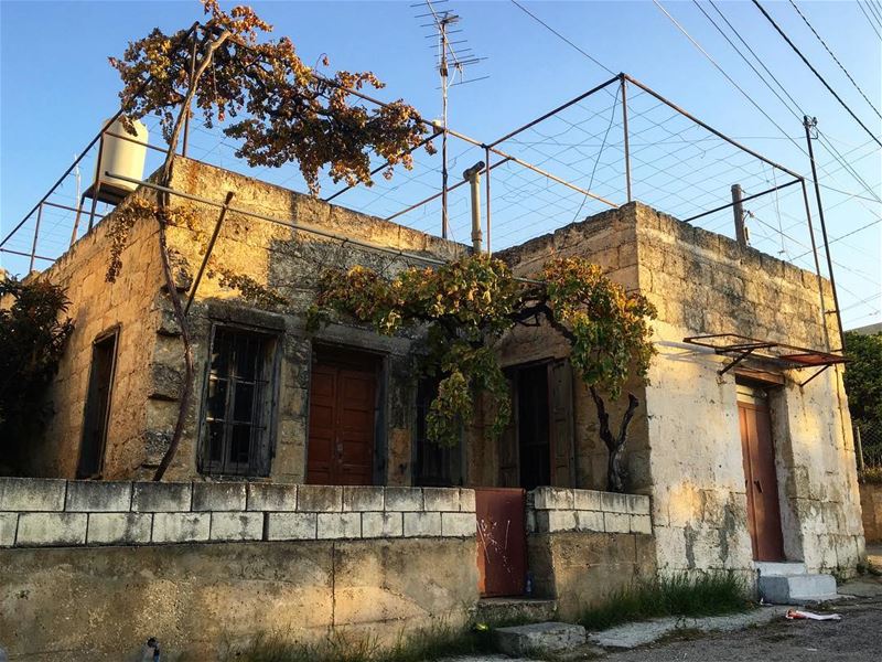 Goodmorning from  maghdouche lebanon  lebanese  oldhouse  oldhouses ... (Maghdoûché, Liban-Sud, Lebanon)