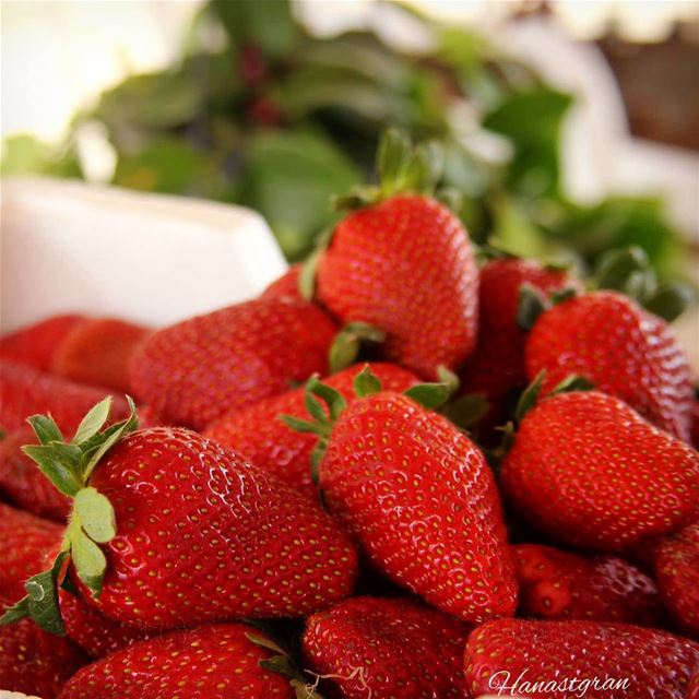 Goodmorning ....have a great ,positive and beautiful day ....🍓🍓 ...