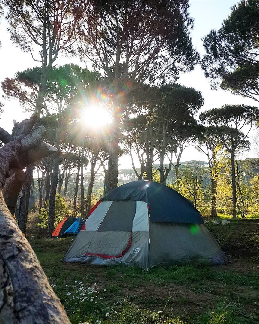  goodmorning  lebanon  camping  sunrise  lebanonspotlights ...