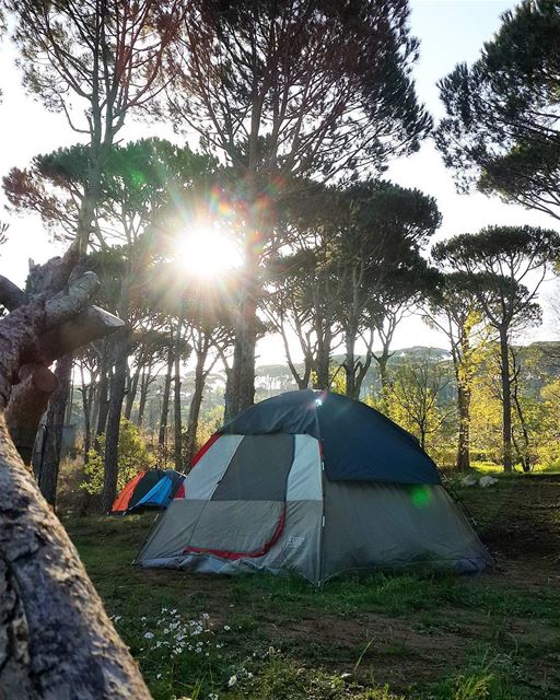  goodmorning  lebanon  camping  sunrise  lebanonspotlights ...