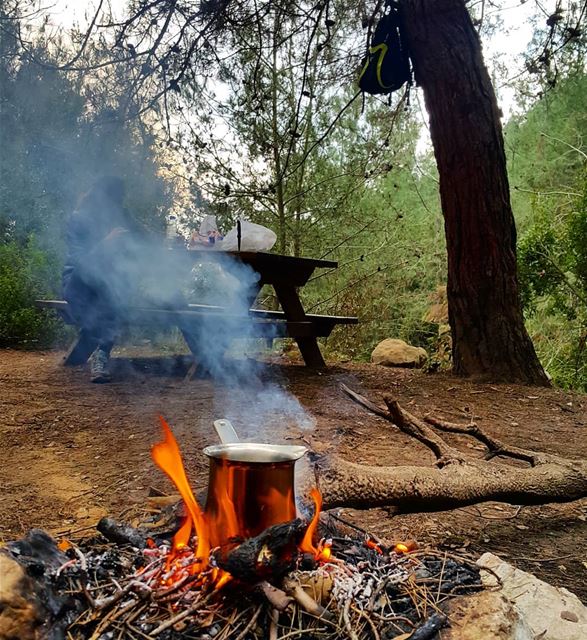  goodmorning  lebanon  naturelovers  beautiful   gowild  teatime ...