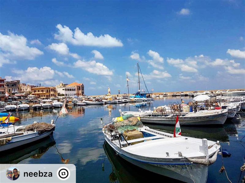"Goodmorning 🌞 livelovetyre  livelovejnoub  livelovebeirut ...