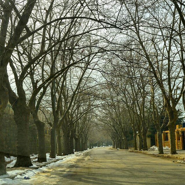 Goodmorning🙋❤❤❤ naturephotography  naturelover  wanderer  wanderlust ... (Sawfar, Mont-Liban, Lebanon)