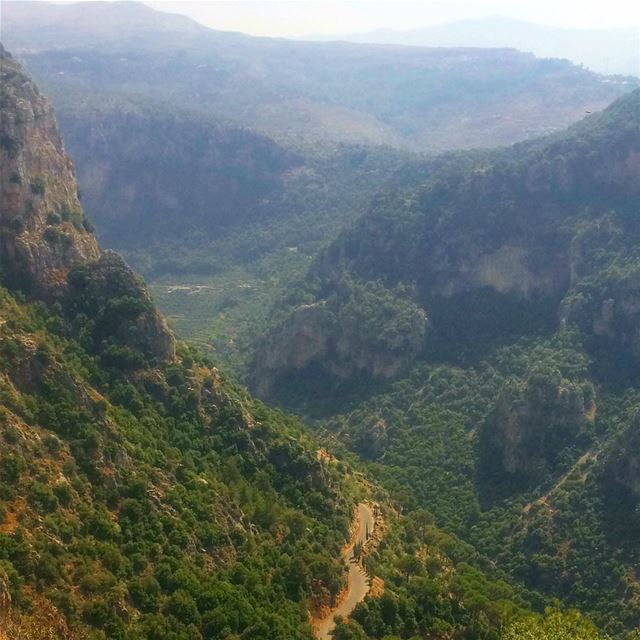  goodmorning  positivevibes   pineforest  trees  lebanontimes ... (Ehden, Lebanon)