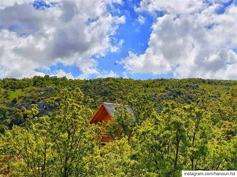  goodmorning  sunrise  clouds  blue  green  nature  house  treehouse ... (Tarchich)