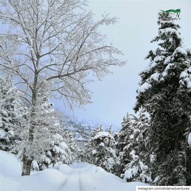  goodmorninglebanon  helloworld  صباح_الثلج  إهدن  ehden  lebanon  لبنان ... (Ehden, Lebanon)