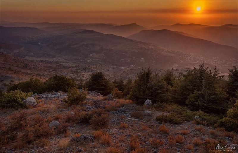  goodnight from @shoufreserve  liveloveainzhalta  lebanon  shouf ... (Aïn Zhalta, Mont-Liban, Lebanon)